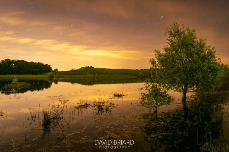 Briard_240511_3388 © David Briard