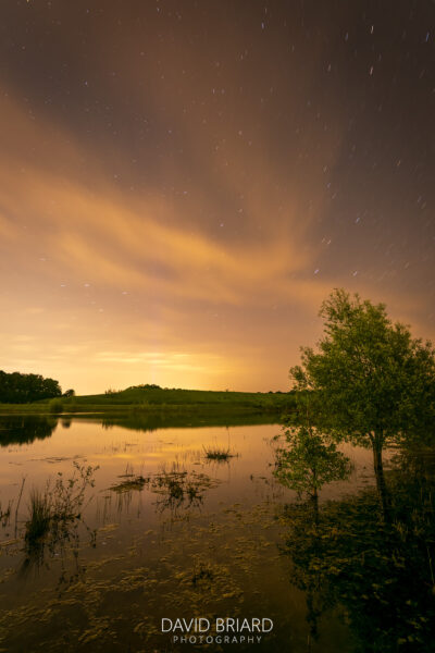 Briard_240511_3396 © David Briard