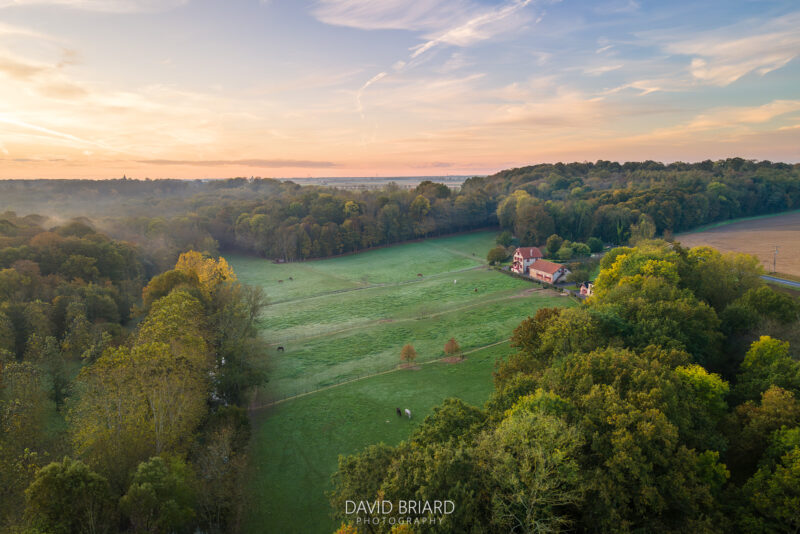 Paturage du côté de Chaumes-en-Brie © David Briard