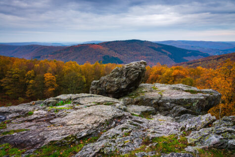 Roc la Tour Area in Autumn © David Briard