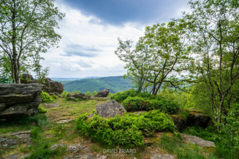 Roc la Tour au printemps © David Briard