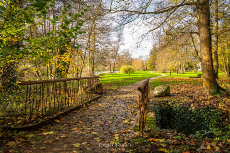 Parc de l'Étang de la Taffarette © David Briard